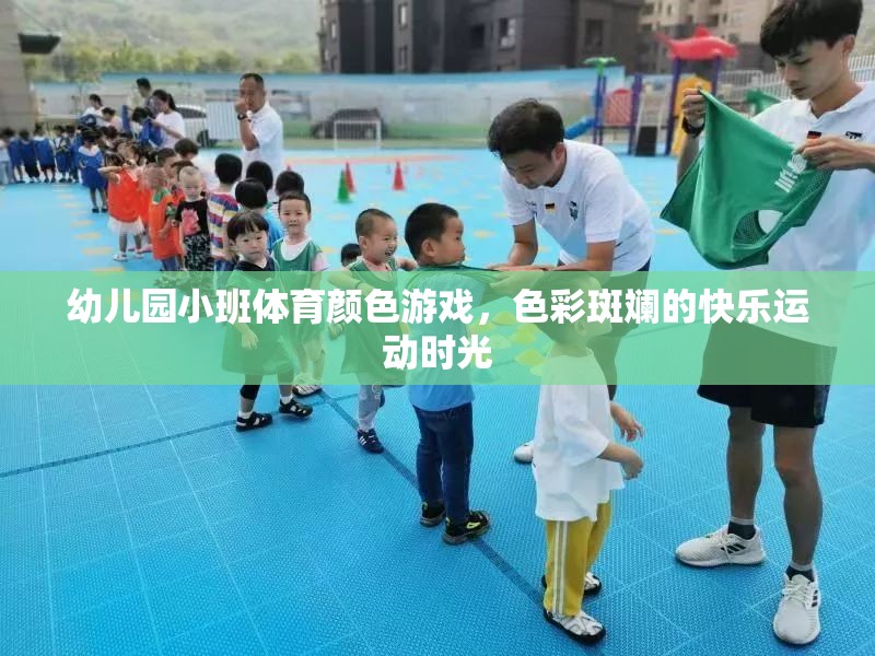 幼兒園小班體育顏色游戲，色彩斑斕的快樂(lè)運(yùn)動(dòng)時(shí)光