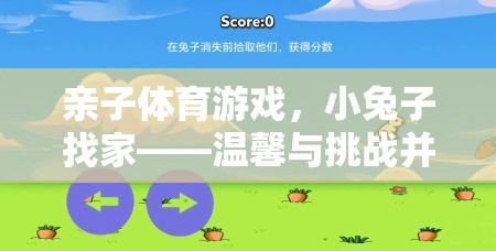 親子體育游戲，小兔子找家——溫馨與挑戰(zhàn)的歡樂時光