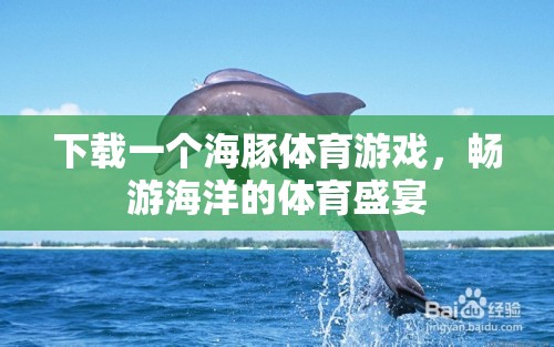 海豚體育游戲，暢游海洋的體育盛宴