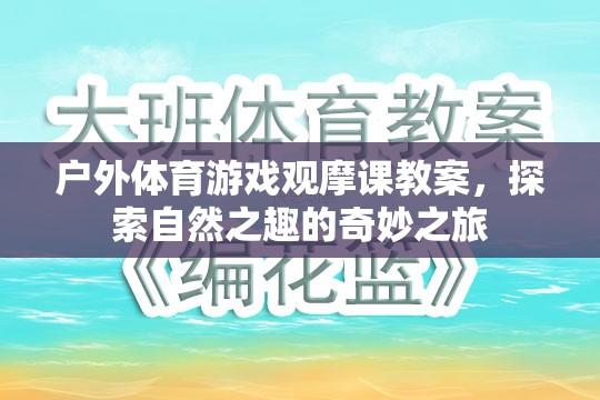 探索自然之趣，戶外體育游戲觀摩課教案的奇妙之旅