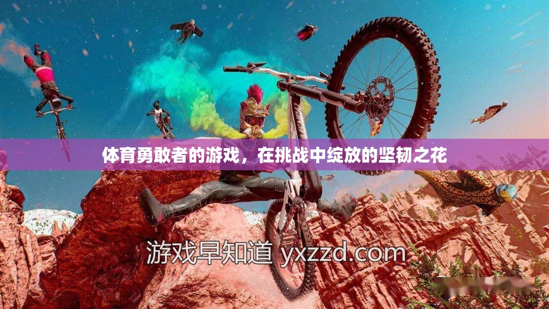 體育勇敢者的游戲，在挑戰(zhàn)中綻放的堅韌之花