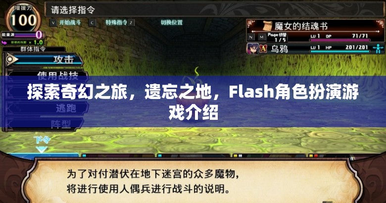 探索奇幻之旅，遺忘之地的Flash角色扮演游戲