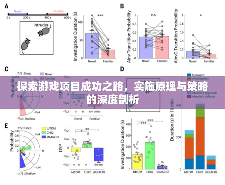 游戲項目成功之路，實施原理與策略的深度剖析