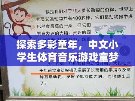 童夢旋律，探索多彩童年中的中文小學(xué)生體育音樂游戲