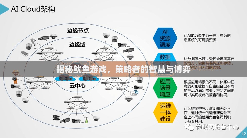 魷魚游戲，策略者的智慧與博弈揭秘