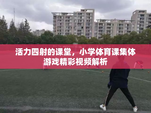 小學(xué)體育課集體游戲，活力四射的精彩視頻解析