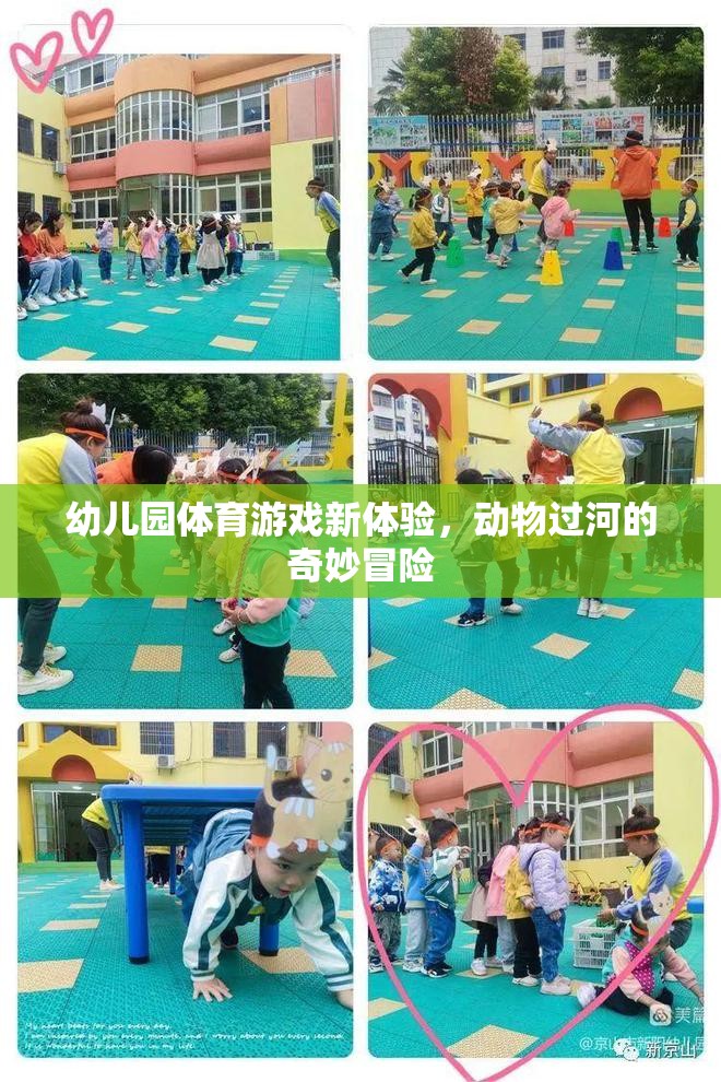 幼兒園體育游戲新體驗(yàn)，動(dòng)物過河的奇妙冒險(xiǎn)