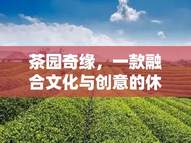 茶園奇緣，文化與創(chuàng)意的休閑游戲之旅