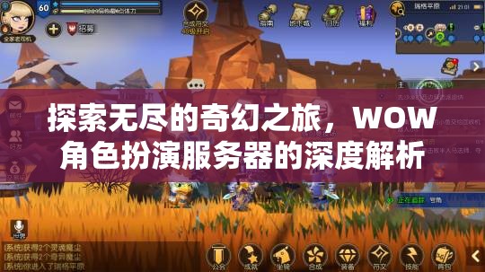 探索奇幻之旅，WOW角色扮演服務(wù)器的深度解析