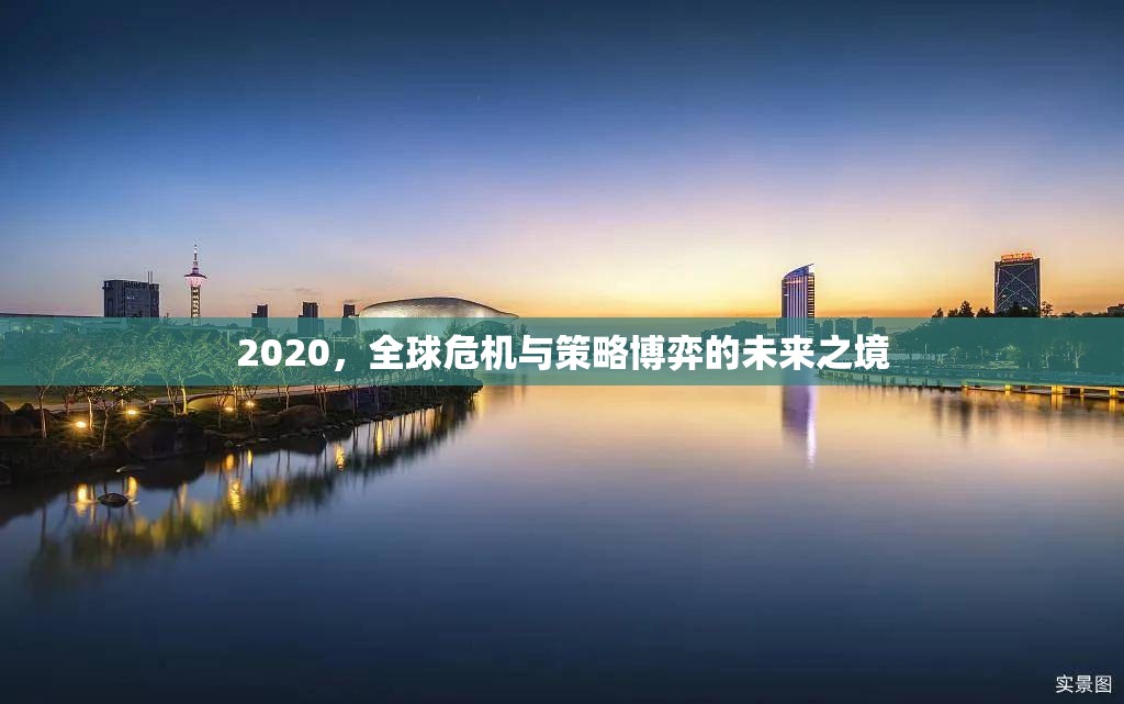 全球危機(jī)與策略博弈，2020年的未來之境