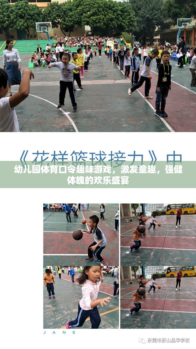 童趣飛揚(yáng)，健康啟航，幼兒園體育口令趣味游戲盛宴