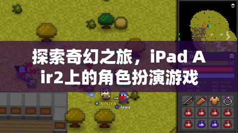 iPad Air2上的奇幻角色扮演游戲，一場(chǎng)探索之旅