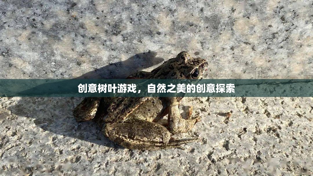 創(chuàng)意樹葉游戲，自然之美的創(chuàng)意探索