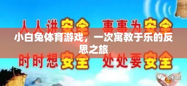 小白兔體育游戲，一次寓教于樂的反思之旅