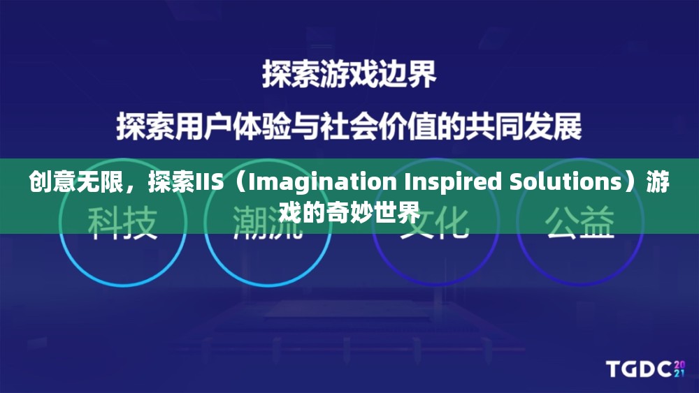 IIS（Imagination Inspired Solutions）游戲，解鎖創(chuàng)意無限的游戲世界