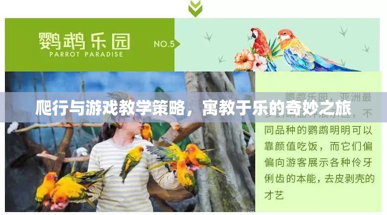 寓教于樂，爬行與游戲教學(xué)策略的奇妙之旅