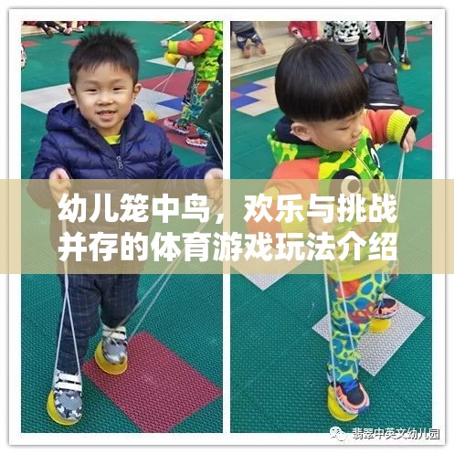 籠中鳥，幼兒體育游戲中的歡樂與挑戰(zhàn)