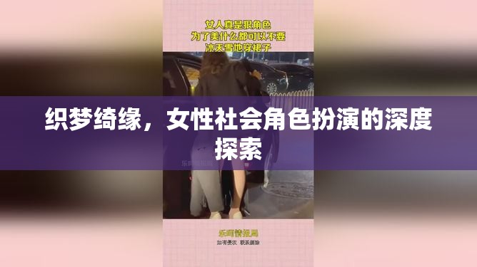 織夢綺緣，女性社會角色的深度探索