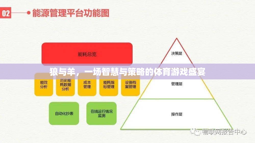 狼與羊，一場智慧與策略的體育游戲盛宴