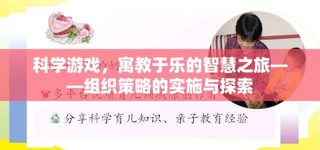 科學游戲，寓教于樂的智慧之旅——組織策略的實施與探索