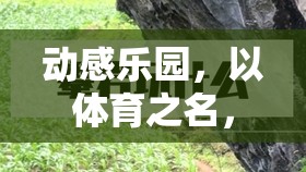 動感樂園，以體育之名，樂在游中