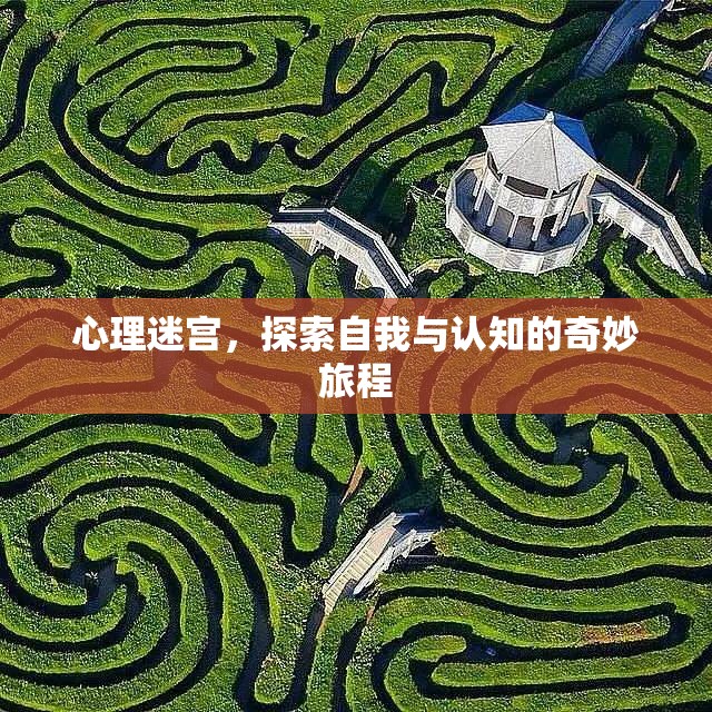 心理迷宮，一場(chǎng)探索自我與認(rèn)知的奇妙旅程