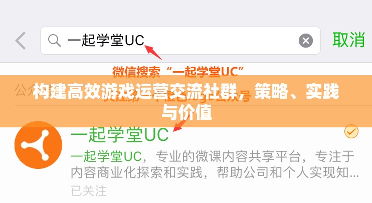 構(gòu)建高效游戲運(yùn)營(yíng)交流社群，策略、實(shí)踐與價(jià)值共創(chuàng)