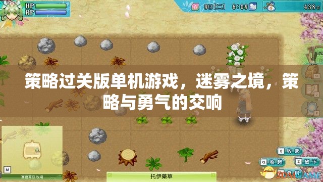 迷霧之境，策略與勇氣的交響