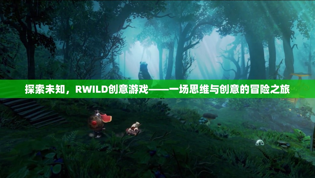 RWILD創(chuàng)意游戲，一場探索未知的思維與創(chuàng)意冒險之旅