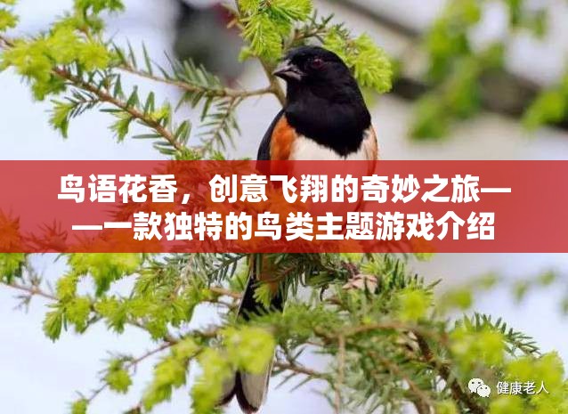 鳥語花香，創(chuàng)意飛翔的奇妙之旅——探索獨(dú)特的鳥類主題游戲