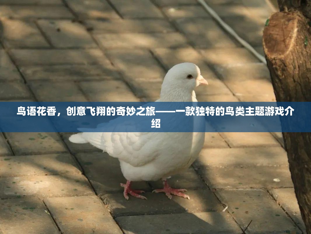 鳥語花香，創(chuàng)意飛翔的奇妙之旅——探索獨(dú)特的鳥類主題游戲