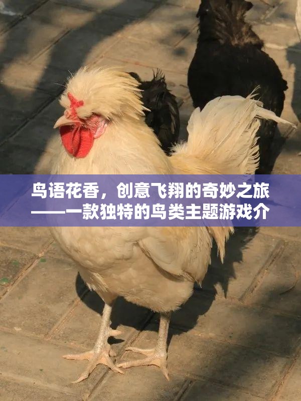 鳥語花香，創(chuàng)意飛翔的奇妙之旅——探索獨(dú)特的鳥類主題游戲