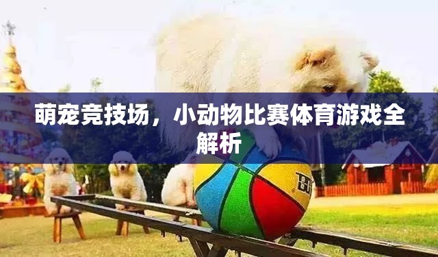 萌寵競技場，小動物比賽體育游戲全解析