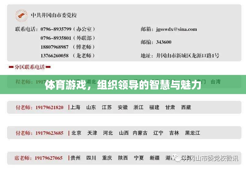體育游戲中的領(lǐng)導(dǎo)智慧與魅力，激發(fā)團(tuán)隊潛能的秘訣