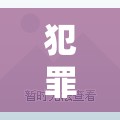 邊緣智慧，犯罪創(chuàng)意游戲的較量