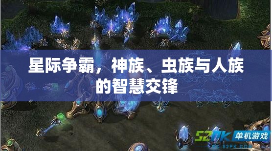 星際爭霸，神族、蟲族與人族的智慧對決