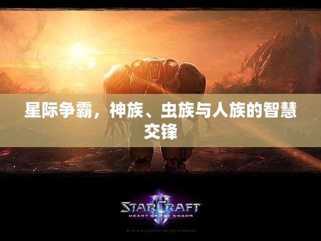 星際爭霸，神族、蟲族與人族的智慧對決