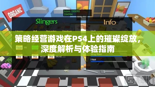 PS4上的策略經(jīng)營游戲，深度解析與璀璨體驗指南