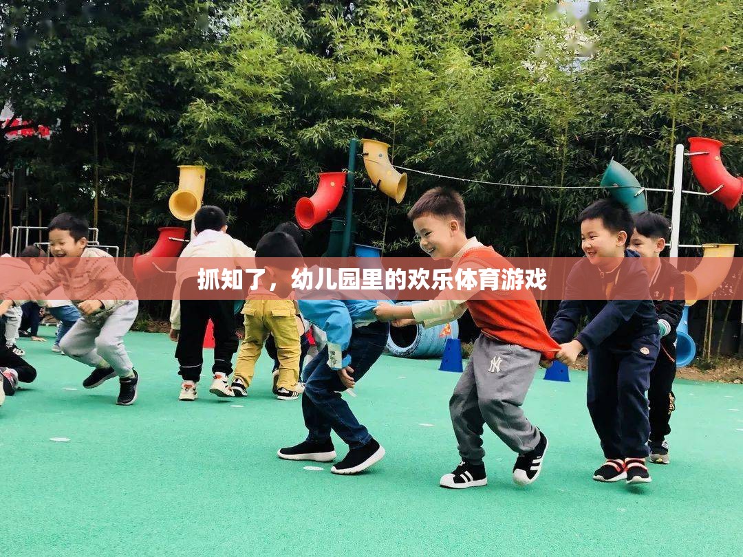 抓知了，幼兒園里的歡樂體育游戲