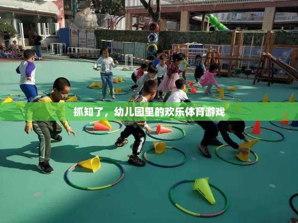 抓知了，幼兒園里的歡樂體育游戲