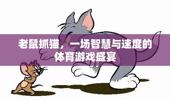 老鼠抓貓，一場智慧與速度的體育游戲盛宴