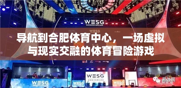 虛擬與現(xiàn)實(shí)交織的體育冒險(xiǎn)，合肥體育中心之旅