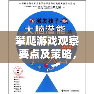 攀爬游戲，觀察要點(diǎn)與策略，平衡激發(fā)潛能與安全的藝術(shù)