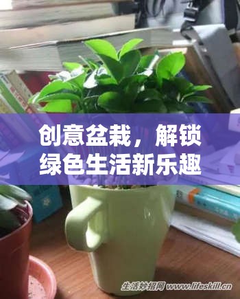 創(chuàng)意盆栽，解鎖綠色生活新樂趣的趣味游戲