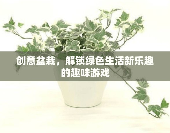 創(chuàng)意盆栽，解鎖綠色生活新樂趣的趣味游戲