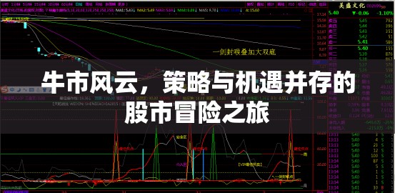 牛市風(fēng)云，策略與機(jī)遇交織的股市冒險(xiǎn)之旅