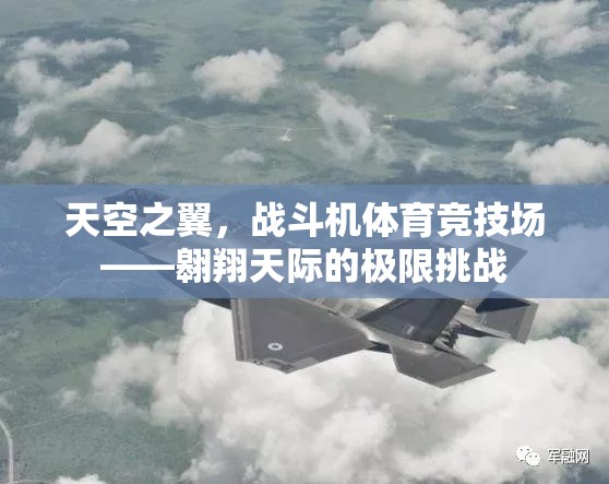 天空之翼，戰(zhàn)斗機體育競技場——極限挑戰(zhàn)的翱翔之旅