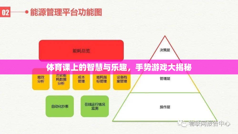 體育課上的智慧與樂趣，手勢游戲大揭秘