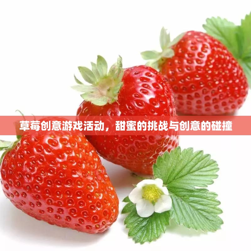 草莓創(chuàng)意游戲，甜蜜挑戰(zhàn)與創(chuàng)意的火花碰撞