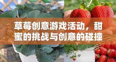 草莓創(chuàng)意游戲，甜蜜挑戰(zhàn)與創(chuàng)意的火花碰撞